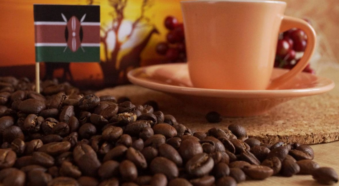 Купить онлайн Кофе арабика Кения в зернах, 100г в интернет-магазине Беришка с доставкой по Хабаровску и по России недорого.