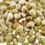 Купить онлайн Семена конопли отборные в интернет-магазине Беришка с доставкой по Хабаровску и по России недорого.
