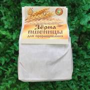 Купить онлайн Овес в оболочке, 0,5 кг в интернет-магазине Беришка с доставкой по Хабаровску и по России недорого.