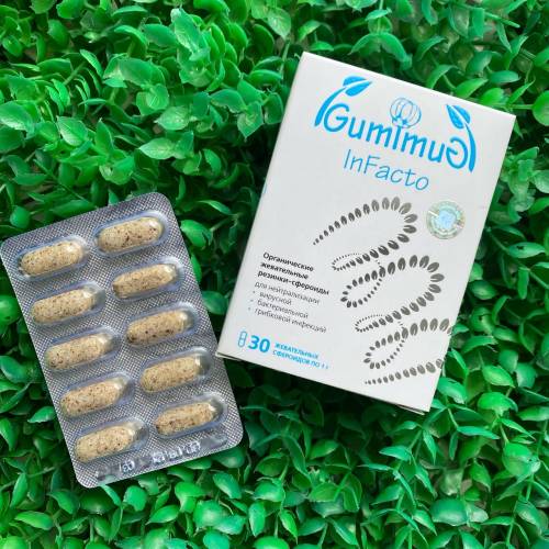 Купить онлайн GumImuG InFacto жевательные сфероиды для нейтрализации инфекций, 30шт по 1г в интернет-магазине Беришка с доставкой по Хабаровску и по России недорого.