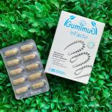 Купить GumImuG InFacto жевательные сфероиды для нейтрализации инфекций, 30шт по 1г в интернет-магазине Беришка с доставкой по Хабаровску недорого.