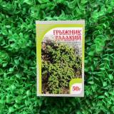 Купить Грыжник трава Хорст, 50 гр в интернет-магазине Беришка с доставкой по Хабаровску недорого.