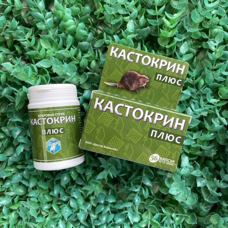 Купить онлайн Кастокрин (Бобровая струя) капсулы плюс, 56 капс в интернет-магазине Беришка с доставкой по Хабаровску и по России недорого.