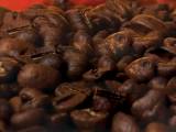 Купить Кофе Коста-Рика в зернах, 100г в интернет-магазине Беришка с доставкой по Хабаровску недорого.