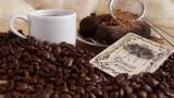 Купить Santa Fe Черный Лотос кофе Арабика, 250г в интернет-магазине Беришка с доставкой по Хабаровску недорого.
