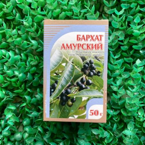 Купить онлайн Бархат амурский, плоды Хорст, 50г в интернет-магазине Беришка с доставкой по Хабаровску и по России недорого.