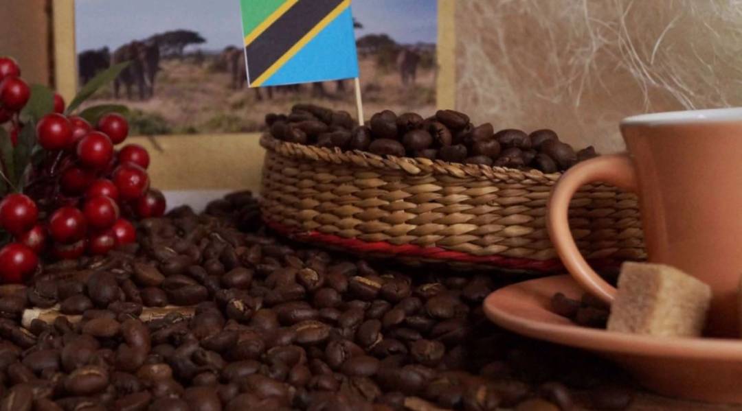 Танзания (АА) кофе Арабика Santa-Fe, 100г