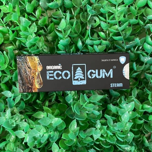 Eco gum steam, 5г