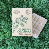 Купить Солянка холмовая (растительный экстракт), 60 капс в интернет-магазине Беришка с доставкой по Хабаровску недорого.