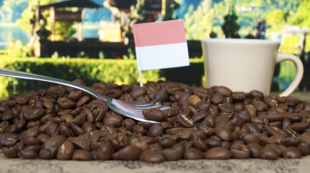 Кофе арабика Индонезия Суматра зерно, 100г