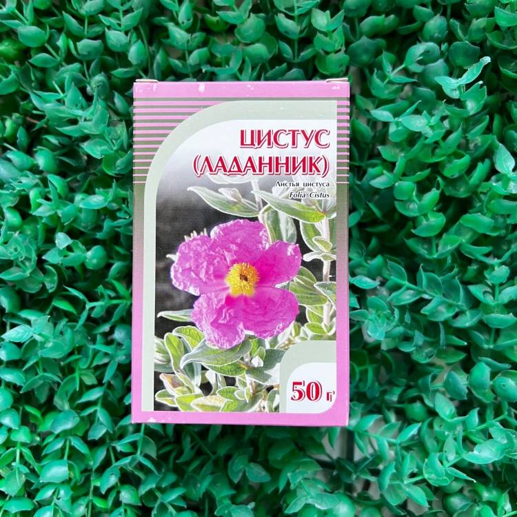 Купить онлайн Цистус (ладанник) лист Хорст, 50г в интернет-магазине Беришка с доставкой по Хабаровску и по России недорого.