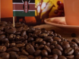 Купить Кофе арабика Кения АА Santa Fe, 250г в интернет-магазине Беришка с доставкой по Хабаровску недорого.