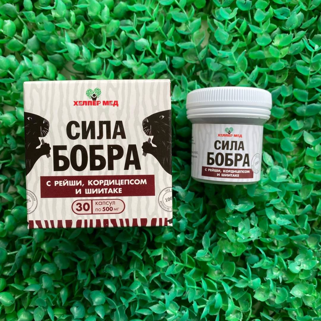 Купить онлайн Сила бобра с рейши, кордицепсом и шиитаке, 30 капс в интернет-магазине Беришка с доставкой по Хабаровску и по России недорого.