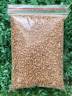 Купить онлайн Пшеница для проращивания, 500 г в интернет-магазине Беришка с доставкой по Хабаровску и по России недорого.