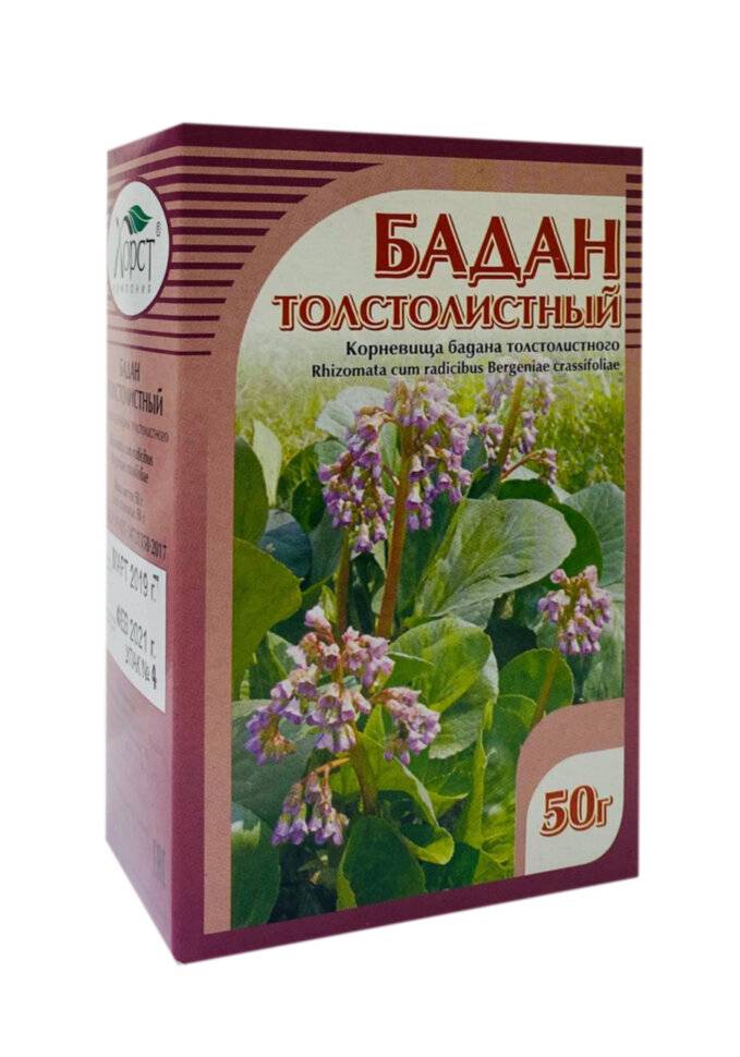 Купить онлайн Бадан толстолистный (корень) Хорст, 50г в интернет-магазине Беришка с доставкой по Хабаровску и по России недорого.