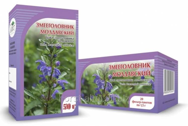 Купить онлайн Змееголовник молдавский, трава 50 г в интернет-магазине Беришка с доставкой по Хабаровску и по России недорого.